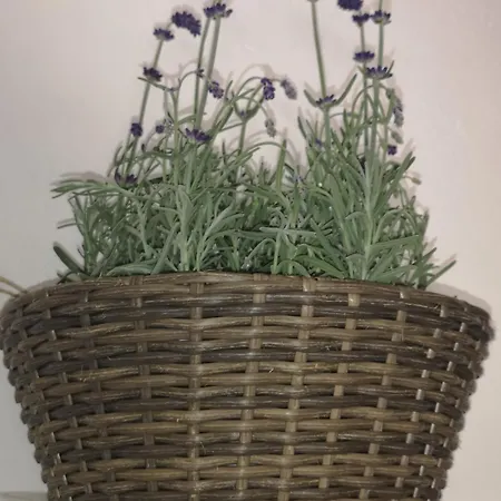 Apartment Bili *